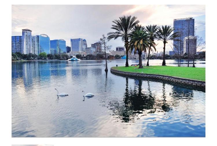 College Park-Orlando 5Star Villa Oasis - Home Away From Home - Quiet Neighborhood-Private Botanical Courtyard - Mins From Eola,Dt, Winter Park - Free Parking & Ev Plug In ภายนอก รูปภาพ